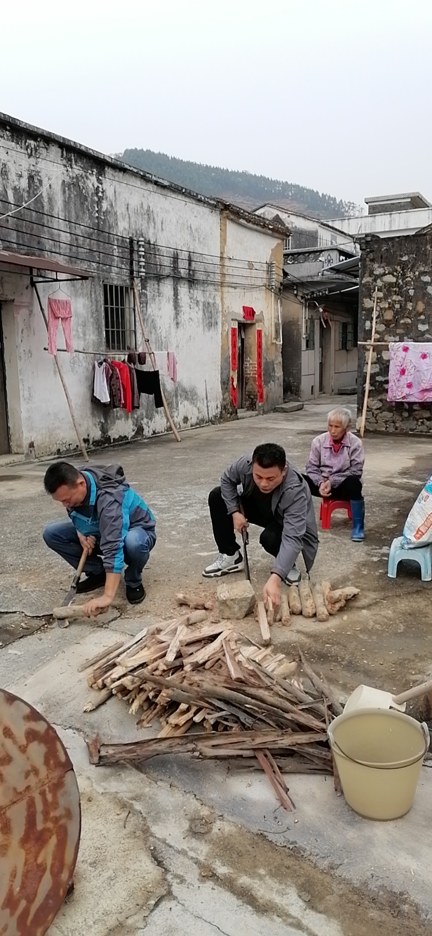 mmexport1641889046272.jpg mmexport1641889046272.jpg